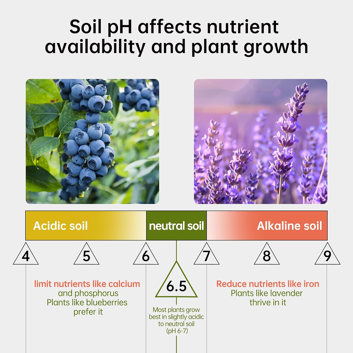 Soil pH Test Kit (3.5-9 Range) 100 Strips ph Soil Tester for Acidity and Alkalinity of Garden Lawn Grass Flower Vegetable Compost Nutrients Plants(J01-1000, Starting from 1000 strips for 10 bottles)