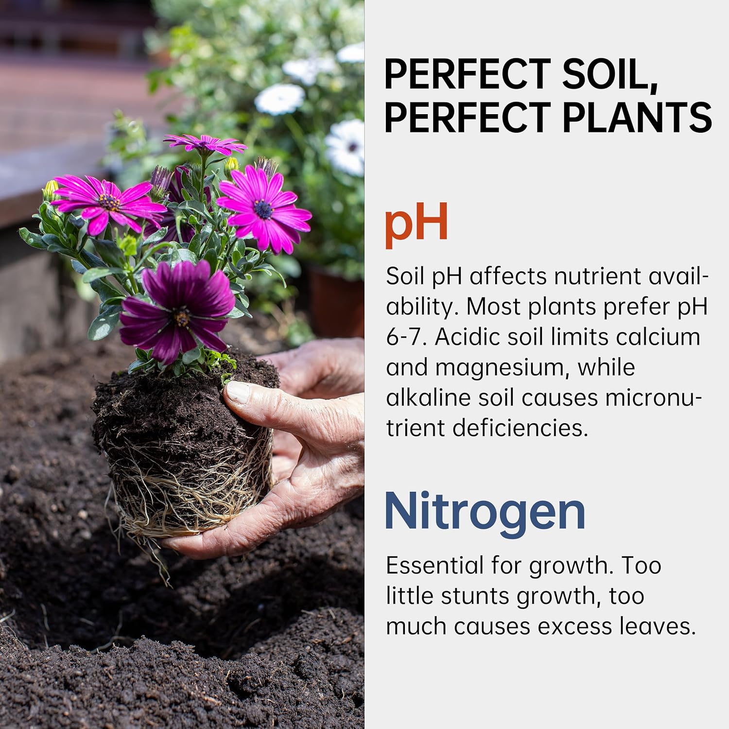 Soil pH &amp; Nitrogen Test Kits 2 in 1 Soil Testing Kits with Test Tube 100 Pcs Test Soil for Garden Lawn Grass Flower Vegetable Compost Nutrients Plants（J02-1000, Starting from 1000 strips for 10 bottles）